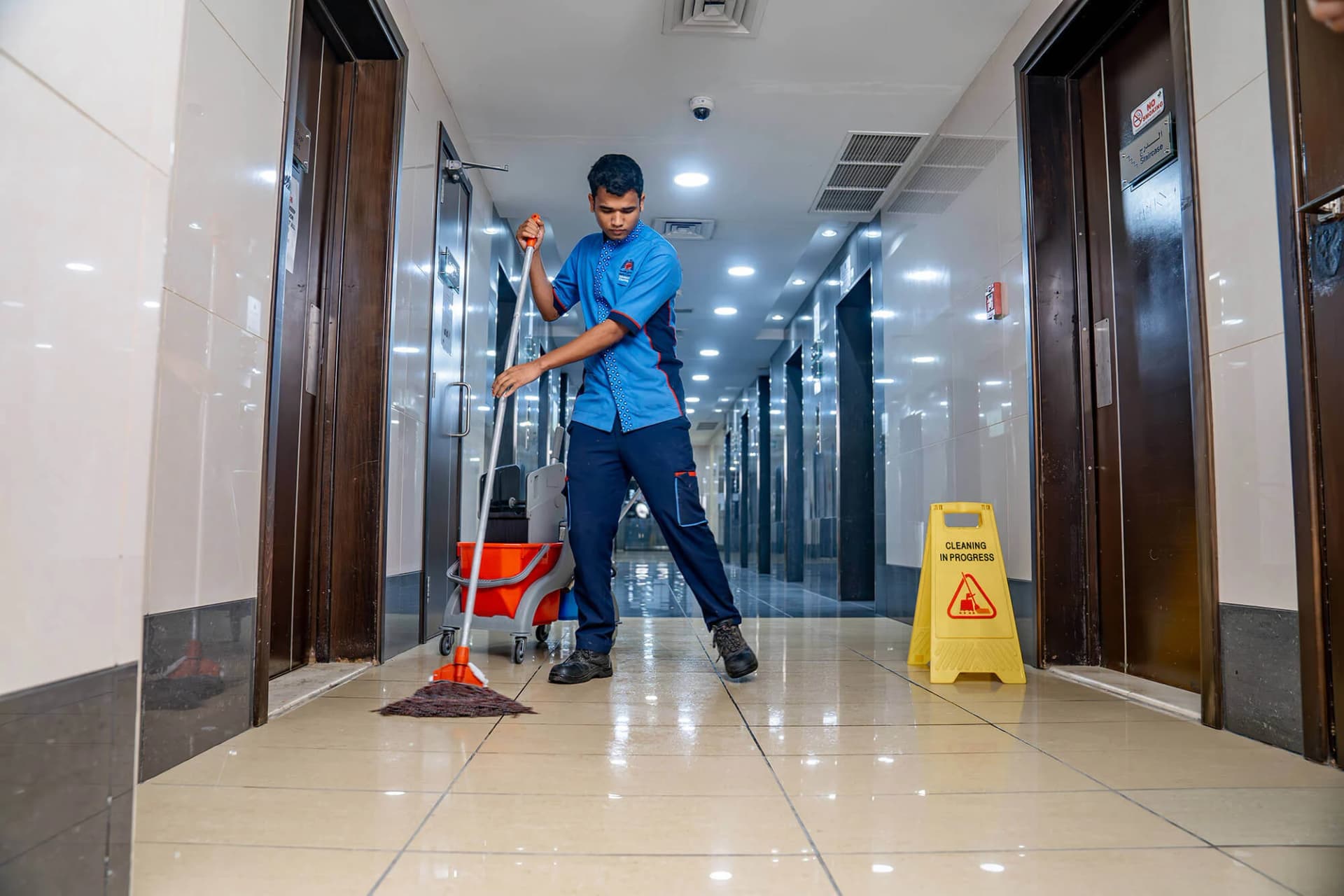 DISE Cleaning – Professionelle Reinigungsservices mit Erfahrung