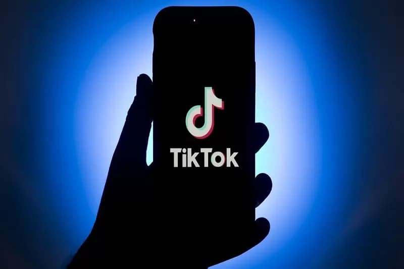 TikTok Follower 101: Meistern Sie die Kunst, Ihren Stamm aufzubauen