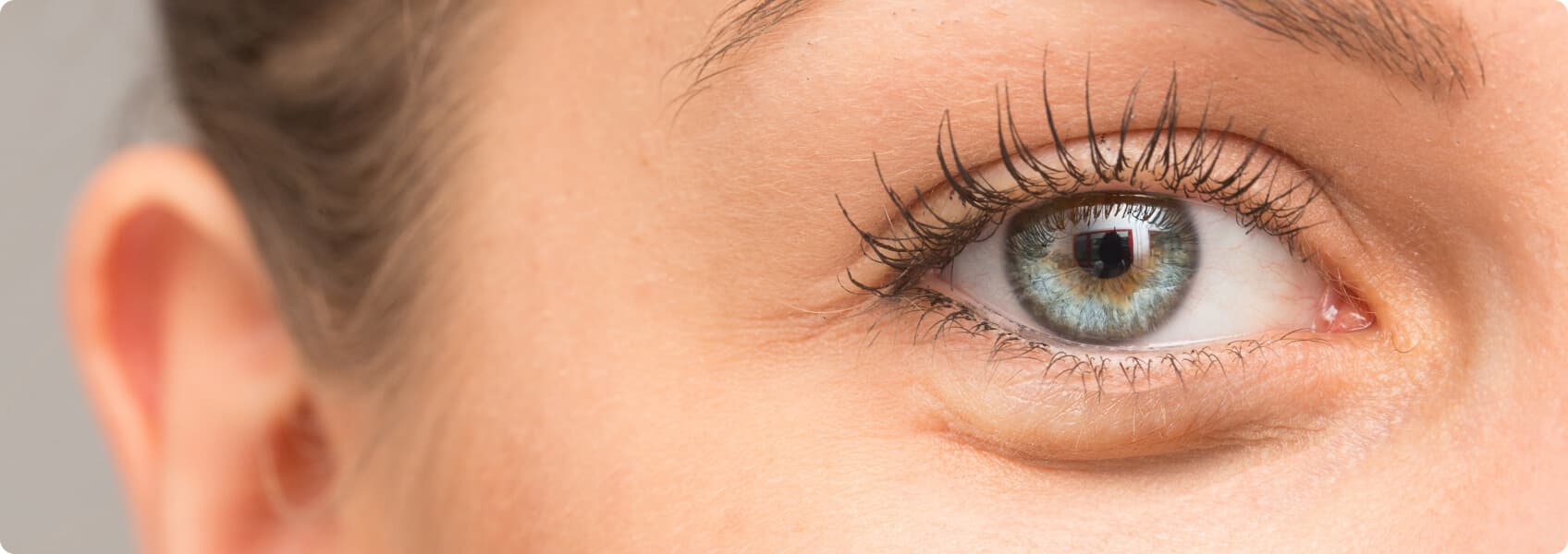 Professionelle Wimpernverlängerung Wimpern – Exklusiv bei LashLink